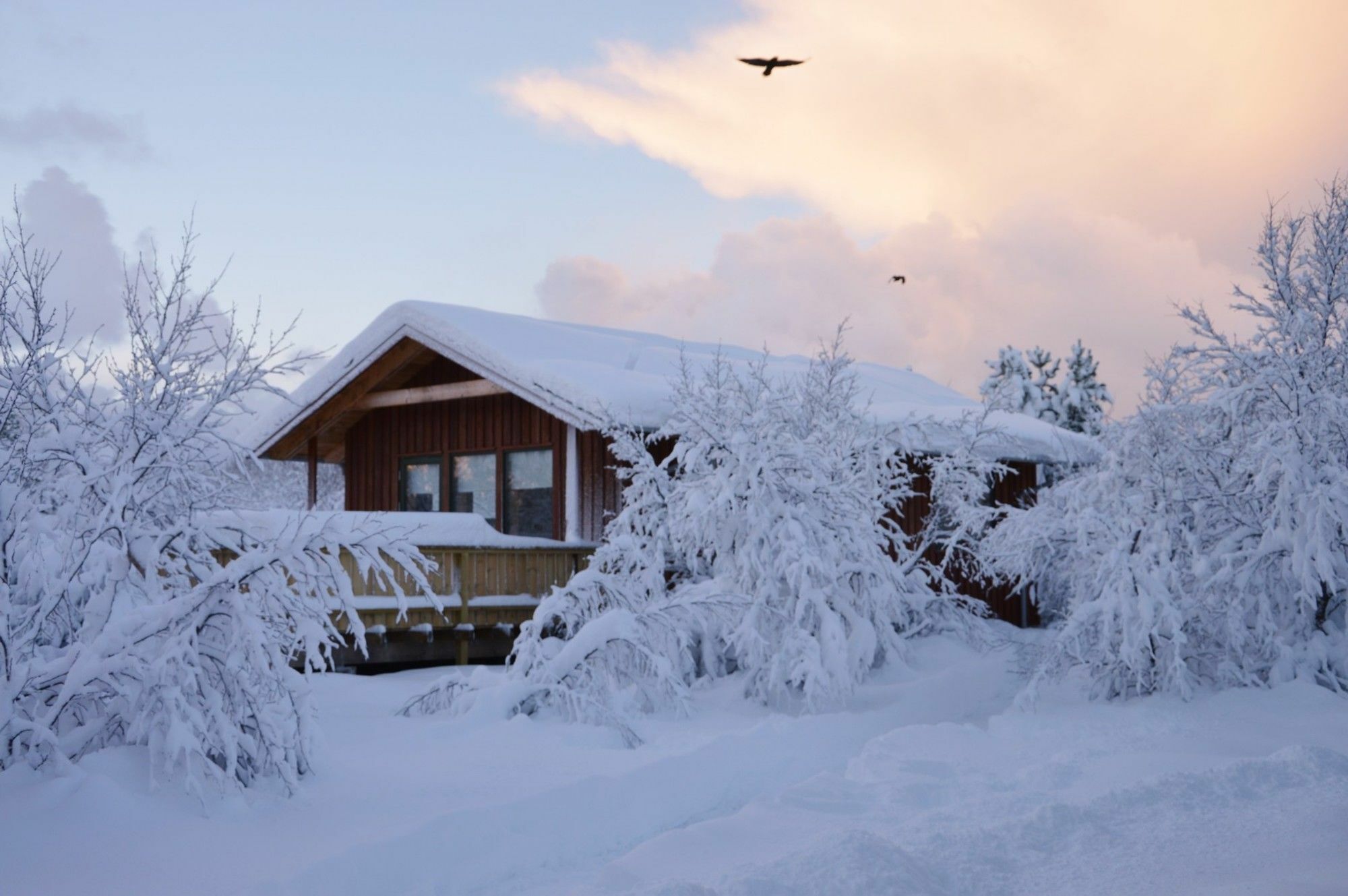 Gesthus Selfoss Hotel Bagian luar foto